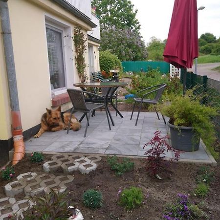 Ferienwohnung Neuensien Sellin  Esterno foto